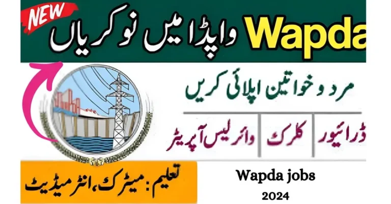 Latest WAPDA Jobs 2024 Advertisement Application Form